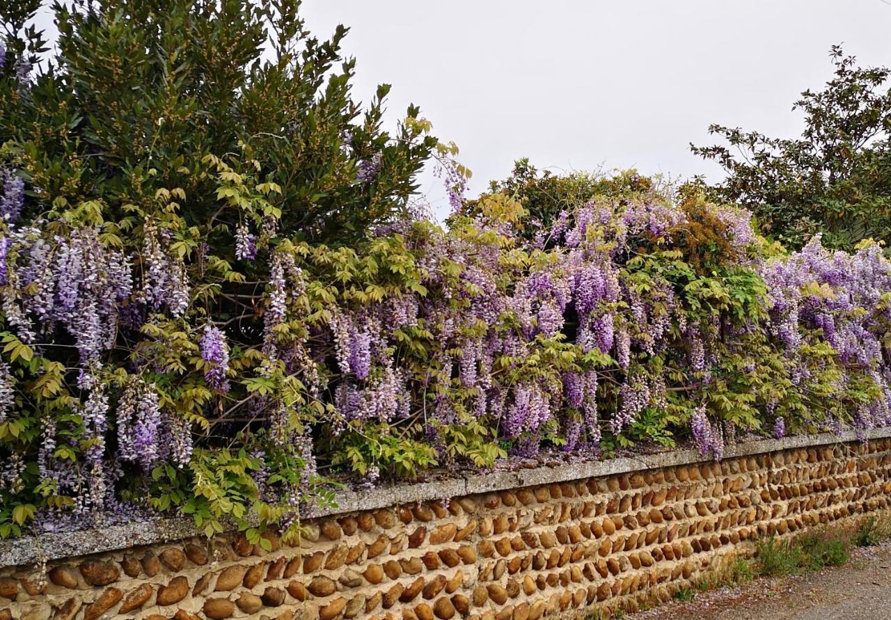 Comme A La Maison Clonas-sur-Vareze Esterno foto